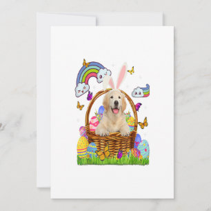 Golden Retriever Easter Eggs Funny Niedlich Dog Ankündigung