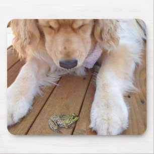 Golden Retriever Ein Frosch Mousepad