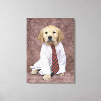 Golden Retriever, ein relativ moderner und Leinwanddruck