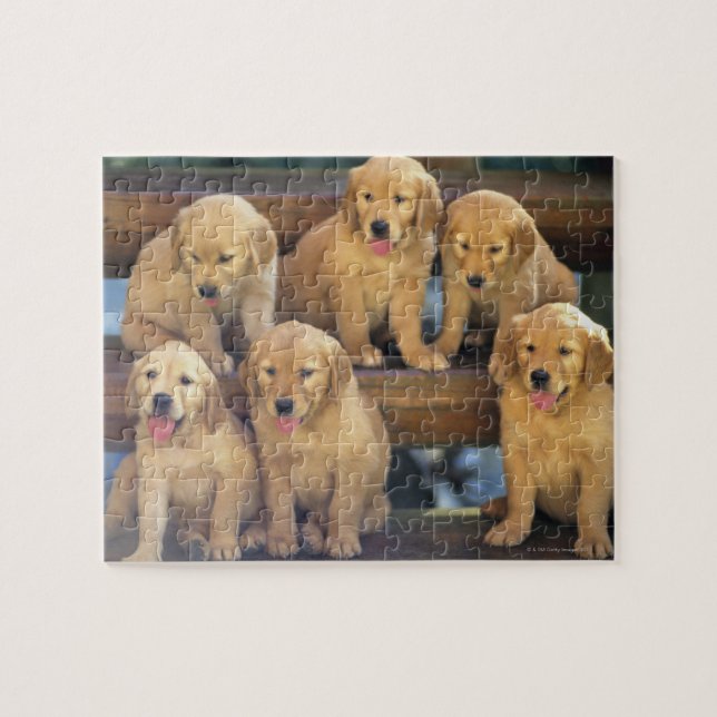 Golden Retriever, ein relativ moderner und Puzzle (Horizontal)