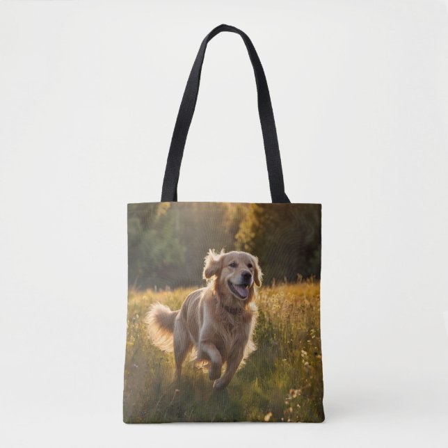 Golden Retriever Elegante Giro del Malcantone (Vorderseite)
