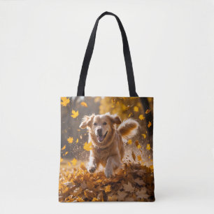 Golden Retriever Elegante Giro del Malcantone