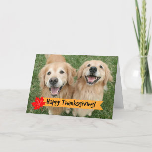 Golden Retriever Erntedank Day wünscht Feiertagskarte