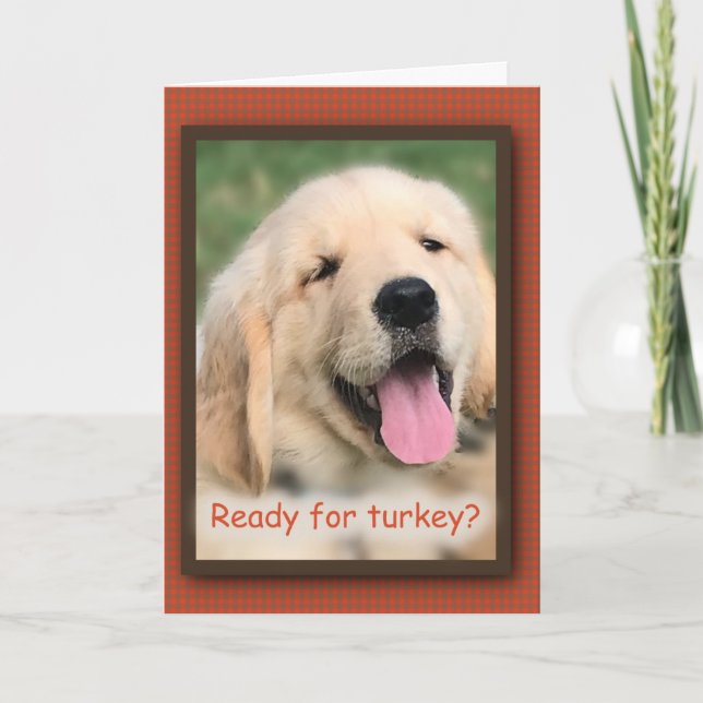 Golden Retriever Erntedank Türkei Grußkarte Feiertagskarte (Vorderseite)