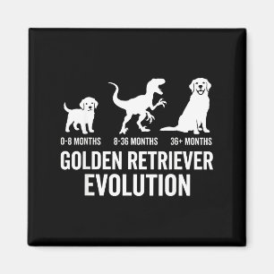 Golden Retriever Evolution Hund Mama Papa Golden Magnet