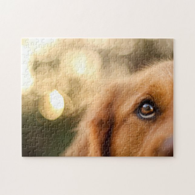 Golden Retriever Eye Closeup Puzzle (Horizontal)