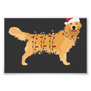 Golden Retriever Feiertag Weihnachtslicht Essentia Fotodruck