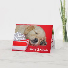 Golden Retriever Feiertagskarte
