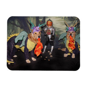 Golden retriever-Feuer-atmendrachen Magnet