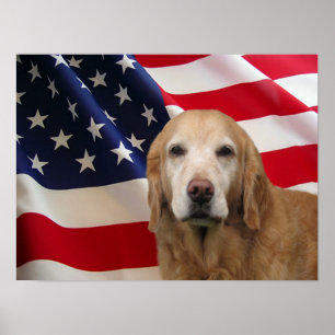 Golden retriever-Flagge-Druck Poster