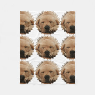 Golden retriever fleecedecke