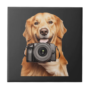 Golden Retriever Fliese