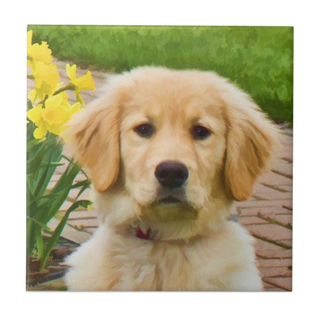 Golden retriever-Fliese Fliese (Vorderseite)