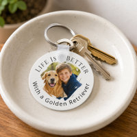 Golden Retriever Foto Das Leben ist besser