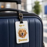 Golden Retriever Foto Das Leben ist golden