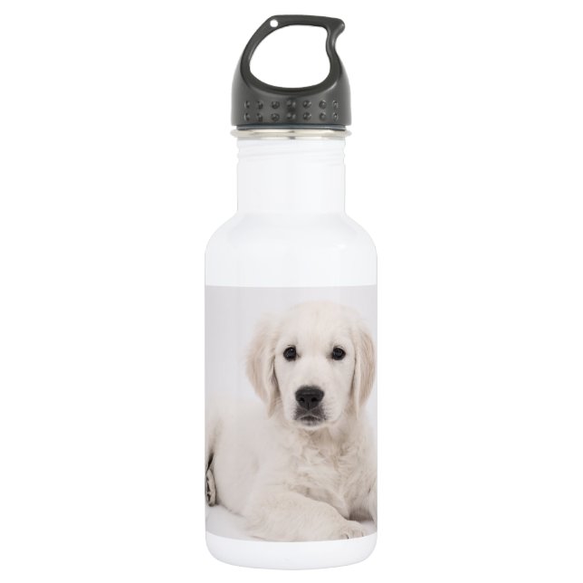 Golden Retriever Foto Edelstahlflasche (Vorderseite)