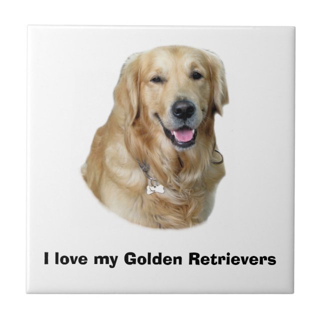 Golden Retriever Foto Portrait Fliese (Vorderseite)