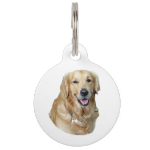 Golden Retriever Foto Portrait Haustiermarke
