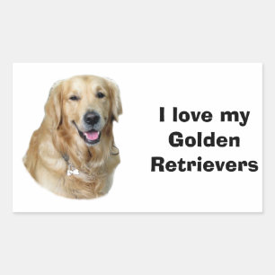 Golden Retriever Foto Portrait Rechteckiger Aufkleber