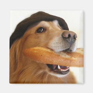 Golden Retriever Französisches Brot Magnet