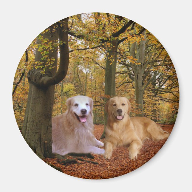 Golden Retriever Friendship Magnet (Vorne)