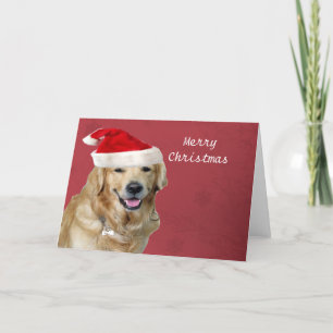 Golden retriever-frohe Weihnachten
