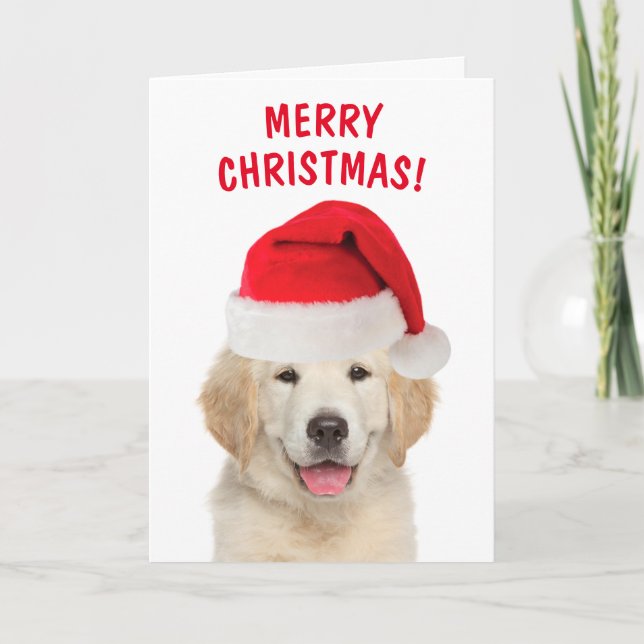 Golden Retriever Frohe Weihnachten (Vorderseite)