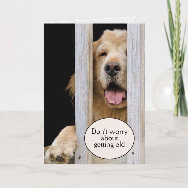 Golden Retriever Geburtstag Alter Spaß Karte (Vorderseite)