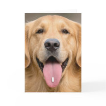 Golden Retriever Geburtstagshumor