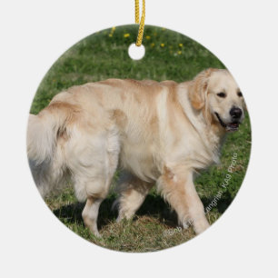 Golden retriever-Gehen Keramikornament