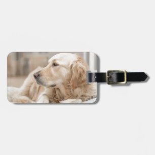 Golden Retriever Gepäckanhänger