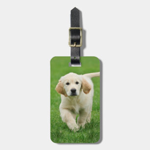 Golden Retriever Gepäckanhänger