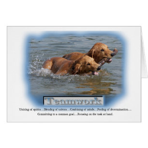 Golden retriever-Geschenke