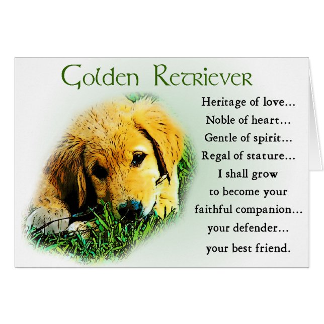 Golden Retriever Geschenke (Vorderseite (Horizontal))