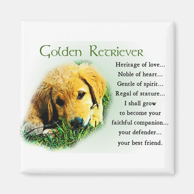 Golden Retriever Geschenke Magnet (Vorne)
