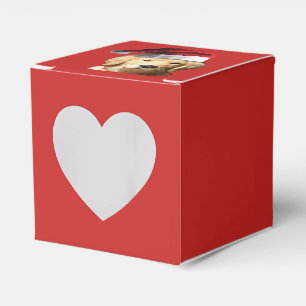 Golden Retriever Geschenkschachtel