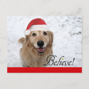 Golden Retriever Glaube Weihnachten
