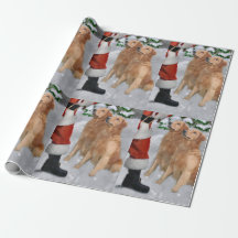 Golden Retriever Glaube Weihnachten