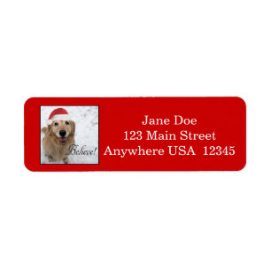 Golden retriever glauben Weihnachten