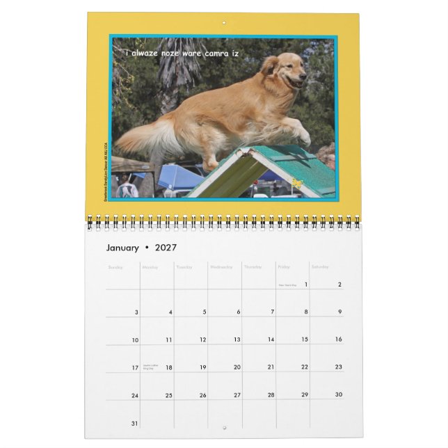 Golden Retriever "Goldens Rule" 12-monatiger Kalen Kalender (Jan 2027)
