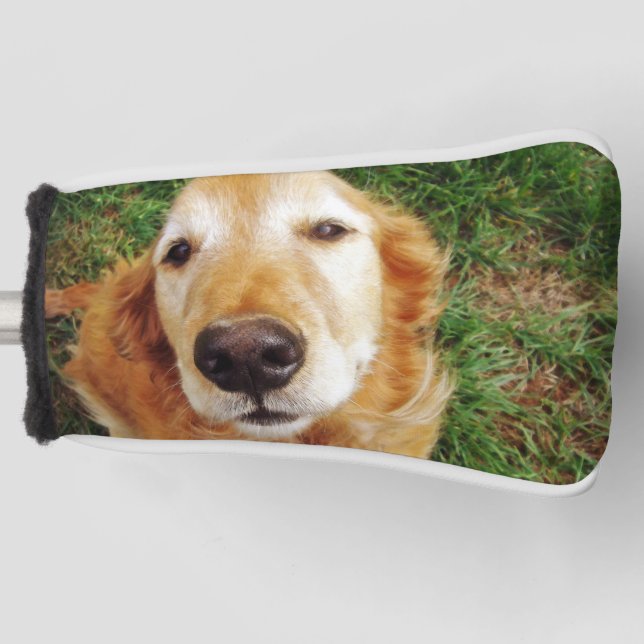 Golden Retriever Golf Head Cover Golf Headcover (Vorderseite)