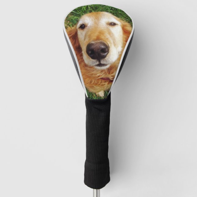 Golden Retriever Golf Headcover (Vorderseite)
