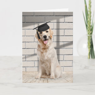 Golden Retriever Graduate on Brick Karte