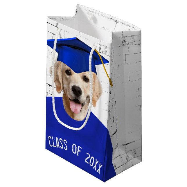 Golden Retriever Graduate with Blue Cap Kleine Geschenktüte (Vorderseite Schrägansicht)