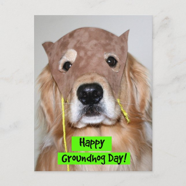 Golden Retriever Groundhove Day Postkarte (Vorderseite)