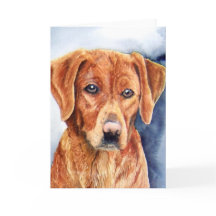 Golden Retriever Grußkarte