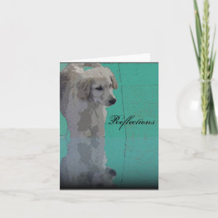 Golden Retriever Grußkarte Karte