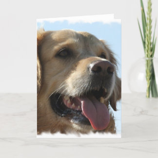 Golden Retriever Grußkarte Karte