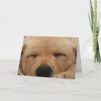 Golden Retriever Grußkarte schlafen Karte