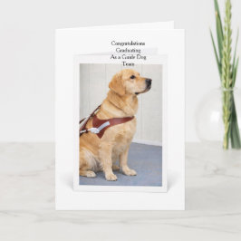 Golden Retriever Guide Dog Graduation Karte